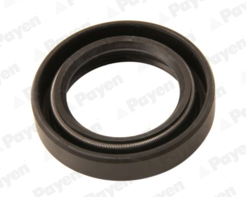 PAYEN NJ849 Τσιμούχα