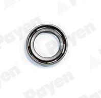 PAYEN NJ858 Τσιμούχα
