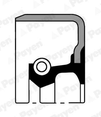PAYEN NJ867 Shaft Seal, wheel hub Front Axle for TOYOTA