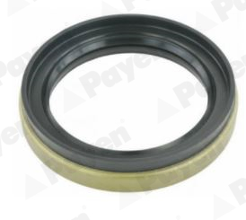 PAYEN NJ880 Shaft Seal, wheel hub Front Axle for NISSAN