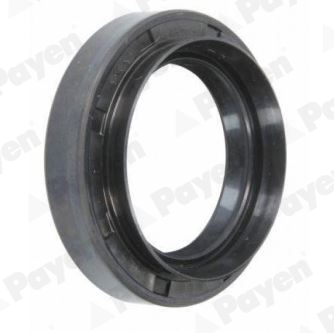 PAYEN NJ921 Τσιμούχα