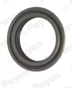 PAYEN NJ966 Shaft Seal, wheel hub Rear Axle
