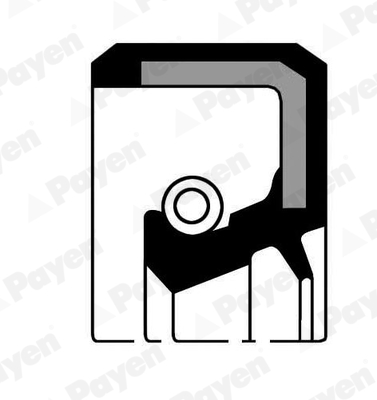 PAYEN NJ986 Τσιμούχα