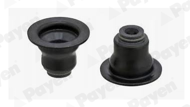 PAYEN PA6134 Tesniaci krúżok drieku ventilu