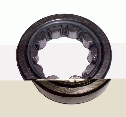 DELCO REMY 19024919 Bearing