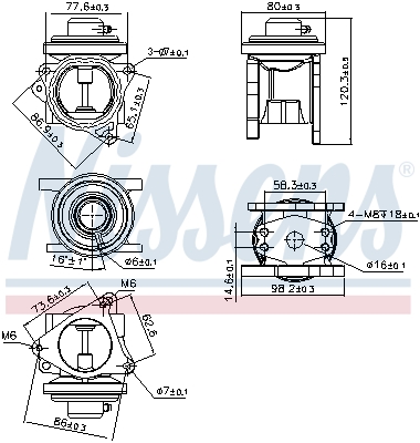 NISSENS 98173 Valvola ricircolo gas scarico-EGR