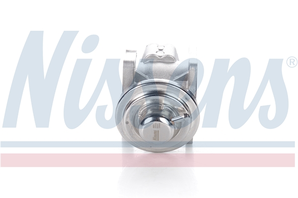 NISSENS 98173 Valvola ricircolo gas scarico-EGR