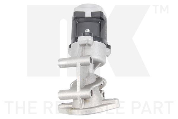 NK 4540002 AGR-Ventil