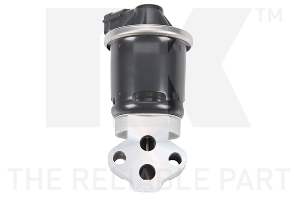 NK 4550001 AGR-Ventil