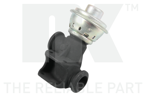 NK 4599010 AGR-Ventil