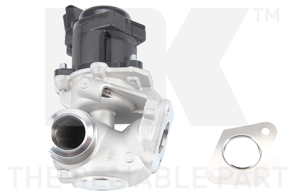 NK 4599013 AGR-Ventil