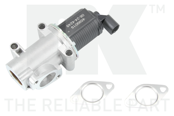 NK 4599019 AGR-Ventil