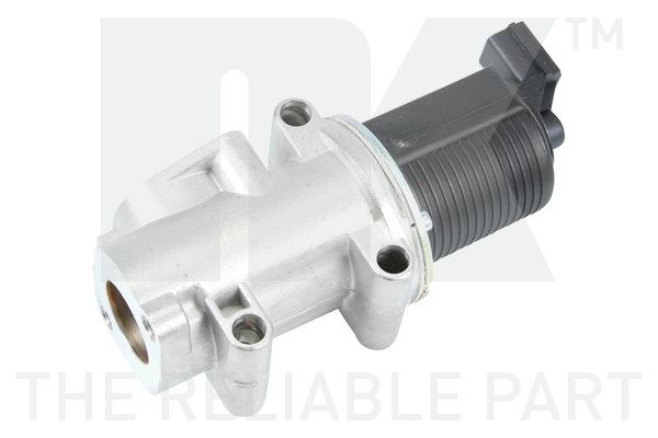 NK 4599019 AGR-Ventil