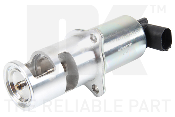 NK 4599020 AGR-Ventil