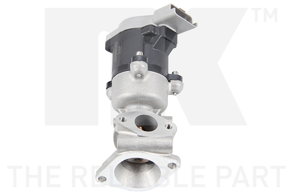 NK 4599022 AGR-Ventil