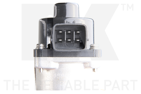NK 4599024 AGR-Ventil