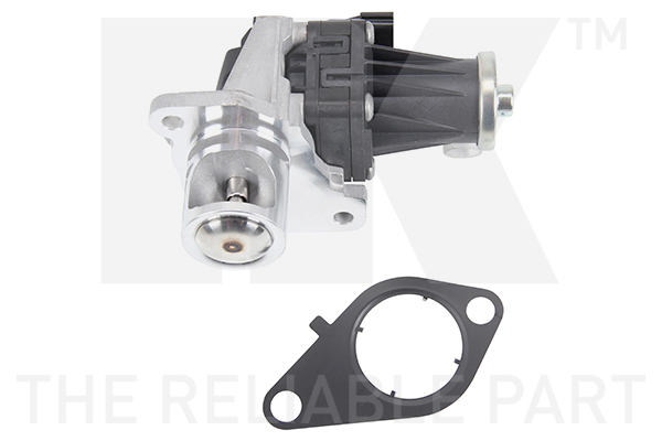 NK 4599051 AGR-Ventil