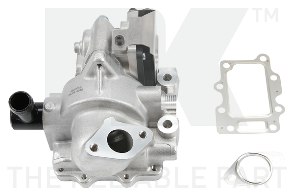 NK 4599058 AGR-Ventil