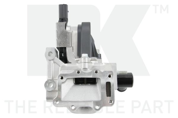 NK 4599058 AGR-Ventil