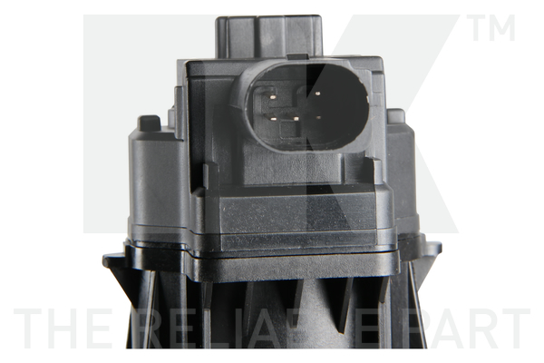 NK 4599061 AGR-Ventil