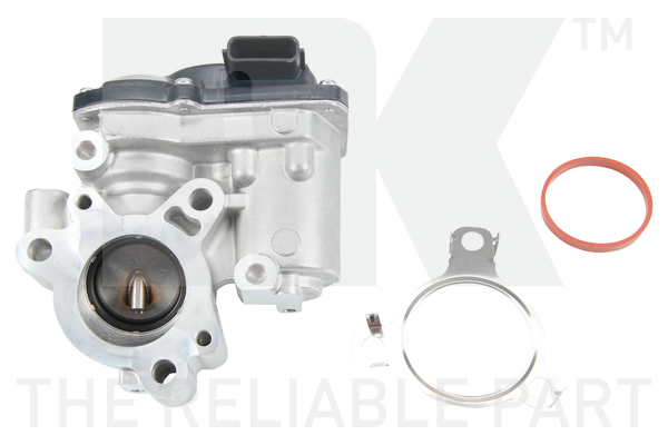 NK 4599062 AGR-Ventil