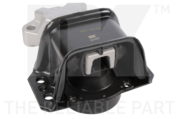 NK 59719005 Lagerung, Motor