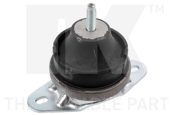 NK 59719021 Lagerung, Motor