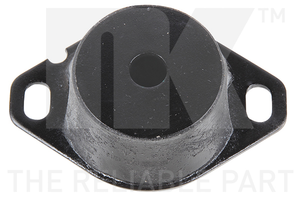 NK 59719036 Lagerung, Motor