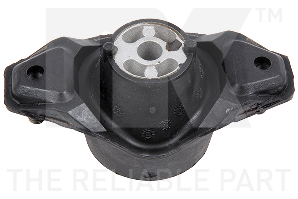 NK 59719038 Lagerung, Motor
