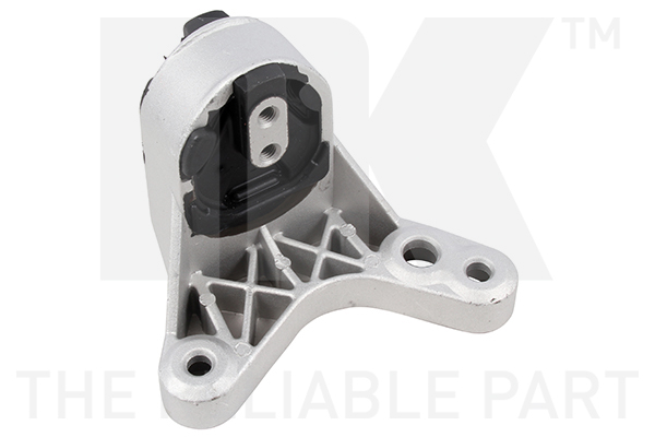NK 59725009 Lagerung, Motor