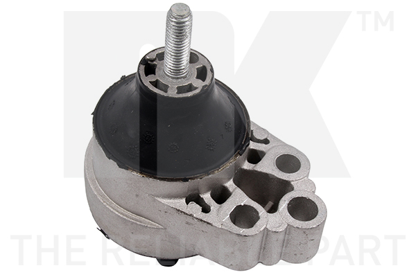 NK 59725010 Lagerung, Motor