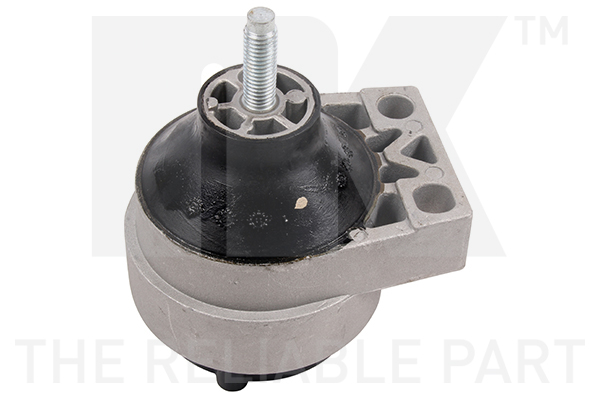 NK 59725012 Lagerung, Motor