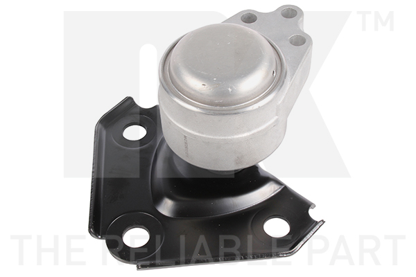 NK 59725013 Lagerung, Motor