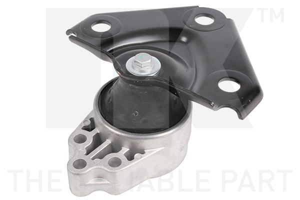 NK 59725013 Lagerung, Motor