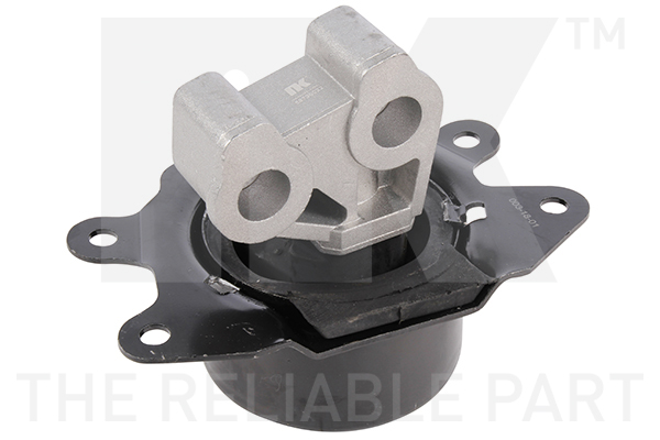 NK 59736022 Lagerung, Motor