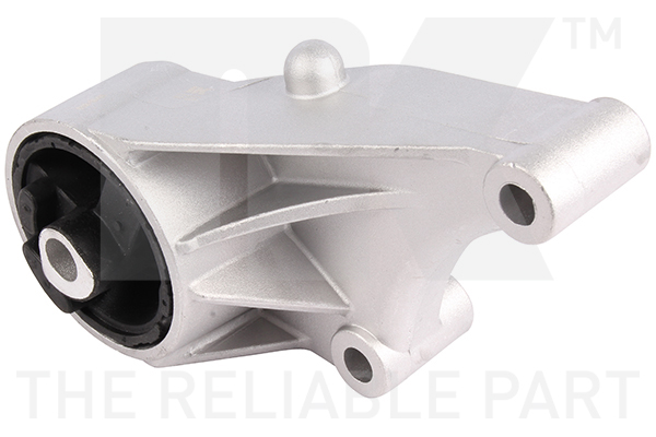 NK 59736025 Lagerung, Motor