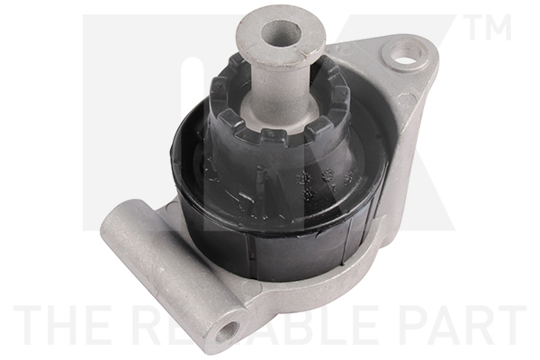 NK 59736028 Lagerung, Motor
