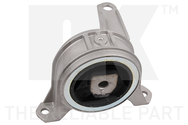 NK 59736052 Lagerung, Motor