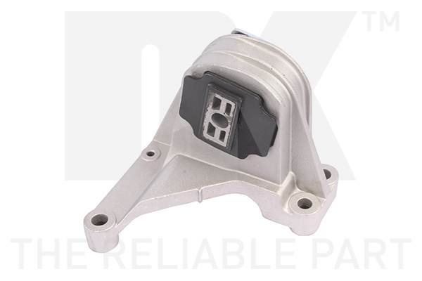 NK 59748002 Lagerung, Motor