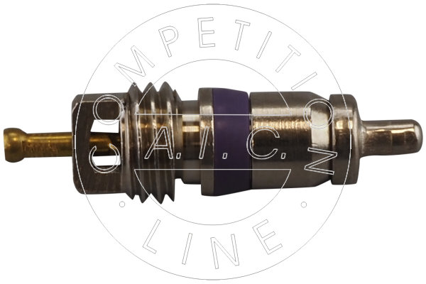 AIC 71323 Szelepmag, javítószelep AUDI SEAT SKODA VW VW (FAW)