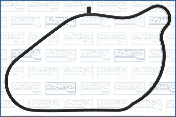 Gasket, thermostat housing