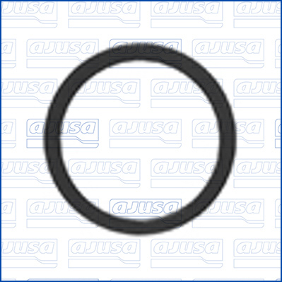 AJUSA 01809700 Τσιμούχα, μπεκ ψεκασμού κάτω for ALPINA AUDI BMW CHEVROLET CITROËN CUPRA DS GMC JAGUAR LAND ROVER LEXUS MAXUS MER