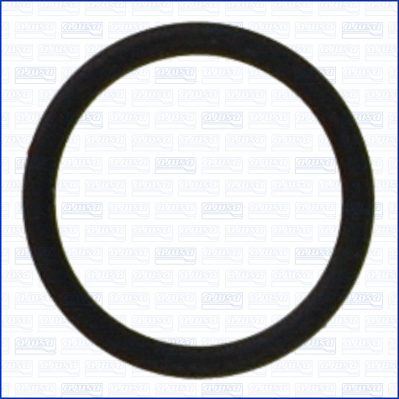AJUSA 16090800 Τσιμούχα, μπεκ ψεκασμού κάτω for ALFA ROMEO AUDI BMW CUPRA HONDA LANCIA MERCEDES-BENZ MORGAN PORSCHE SEAT SKODA T