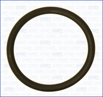 AJUSA 16100000 Φλάντζα, στόμιο σύνδεσης υποπίεσης BKV for AUDI BREDAMENARINIBUS CUPRA DAF DENNIS GINAF HONDA IRIZAR JAGUAR LAZ M