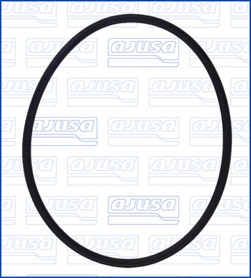AJUSA 16117900 Τσιμούχα, αντλία ψεκασμού for BMW CITROËN FORD FORD AUSTRALIA FORD USA LAND ROVER MAZDA MERCEDES-BENZ MINI NISSAN