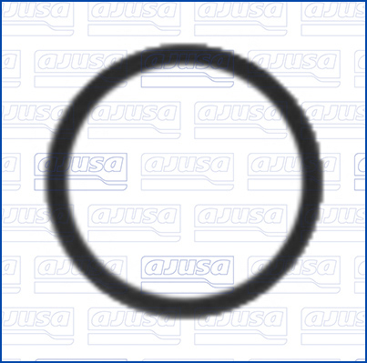 AJUSA 29002100 Τσιμούχα, μπεκ ψεκασμού for BMW MERCEDES-BENZ MG MG (SAIC) MINI