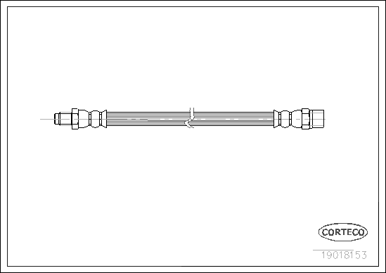 CORTECO 19018153 Flessibile del freno-Flessibile del freno-Ricambi Euro