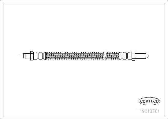 CORTECO 19018781 Flessibile del freno-Flessibile del freno-Ricambi Euro