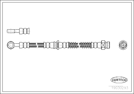 CORTECO 19030293 Flessibile del freno-Flessibile del freno-Ricambi Euro