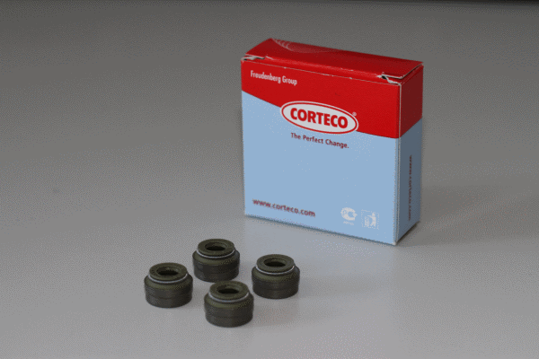 CORTECO 19034069 Kit guarnizioni, Stelo valvola